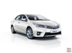 corolla-2013