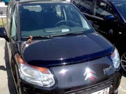 deflektor-kapota-sim-dlya-citroen-c3-picasso-2009--dark-smoke-(temnyj)