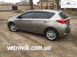 hic-auris-2013-1