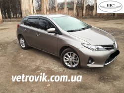hic-auris-2013-2