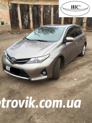 hic-auris-2013-3