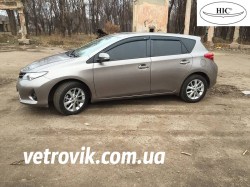 hic-auris-2013