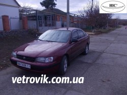 hic-carina-e-2