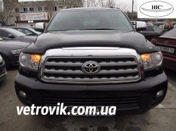 hic-myxa-sequoia-2007-1