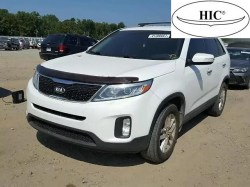 муха-хик-соренто-09-157